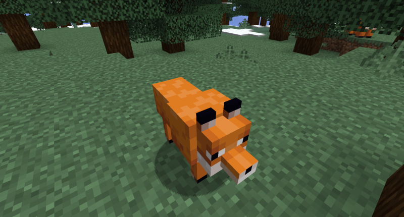 wolf