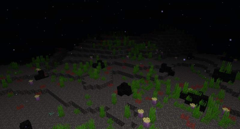 The Abyss