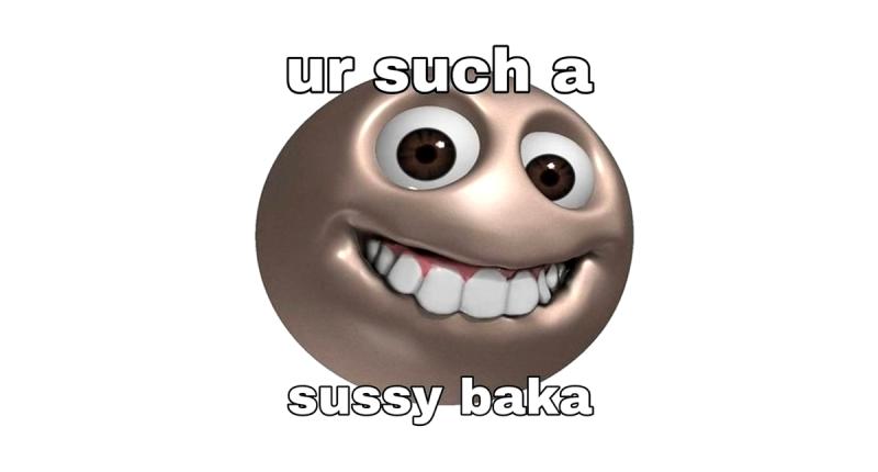 You are a SUSSY BAKA!