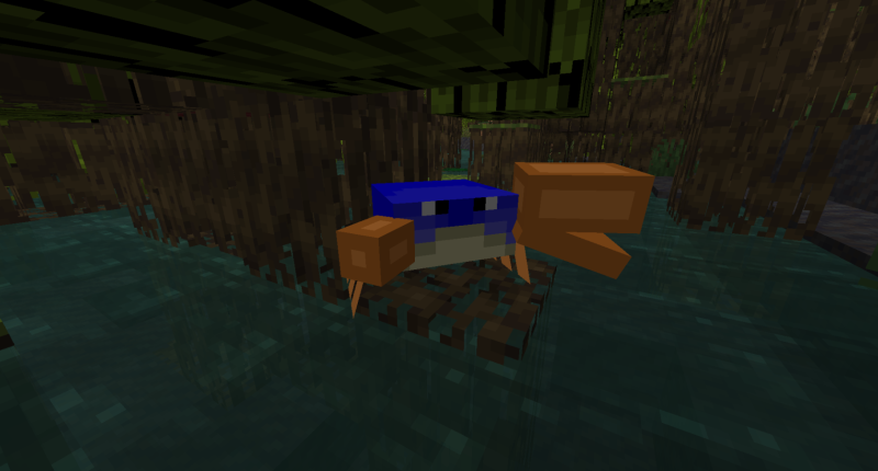 A Crab in a Mangrove Swamp