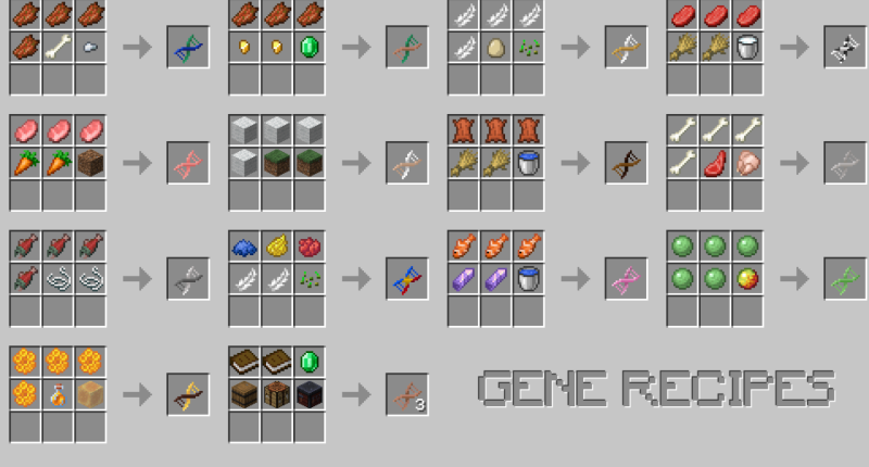 Gene Recipes