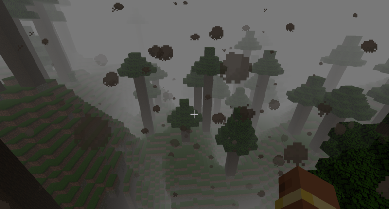 dense elder forest