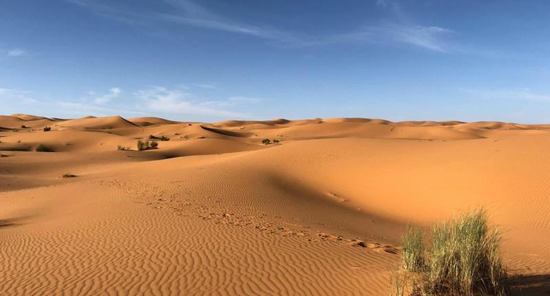 desert