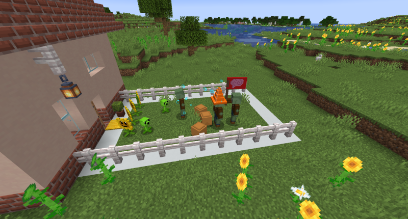 Front Lawn