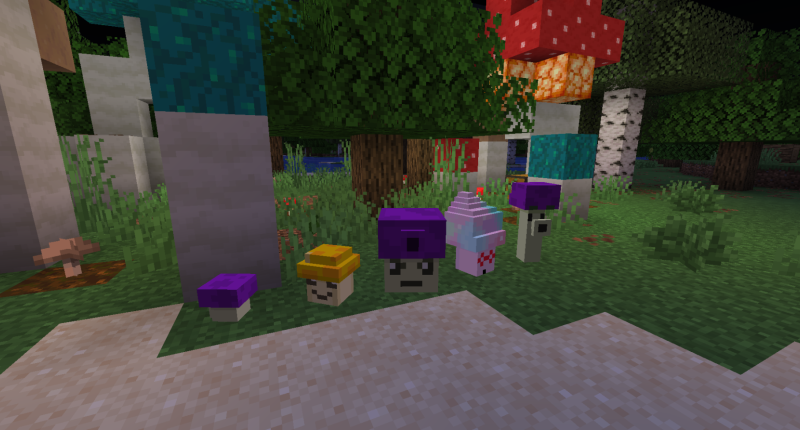 Mushroom Garden