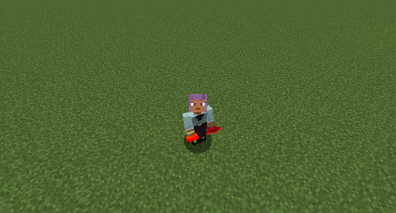 How the items look like on the player