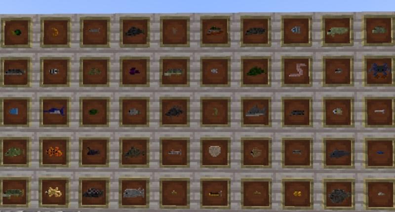 A variety of fish to find and catch from all over the land!