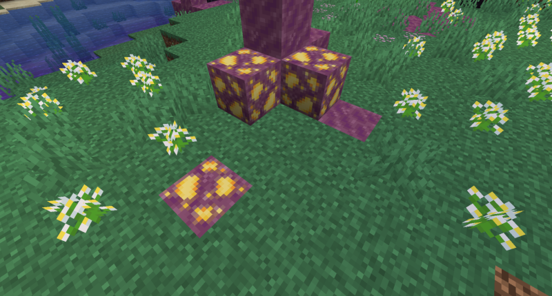 Magite location example
