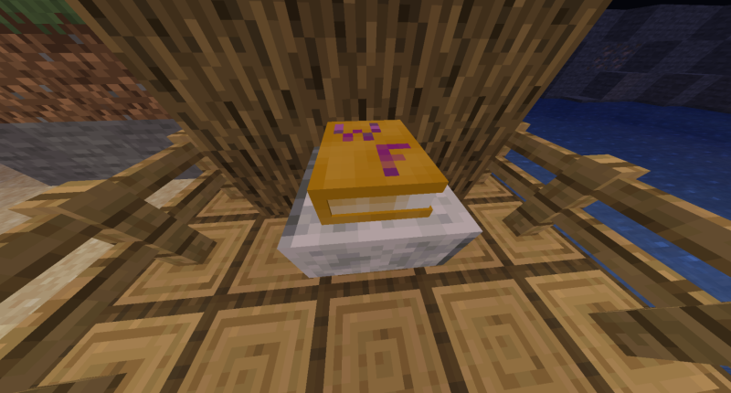 this is my magic book!