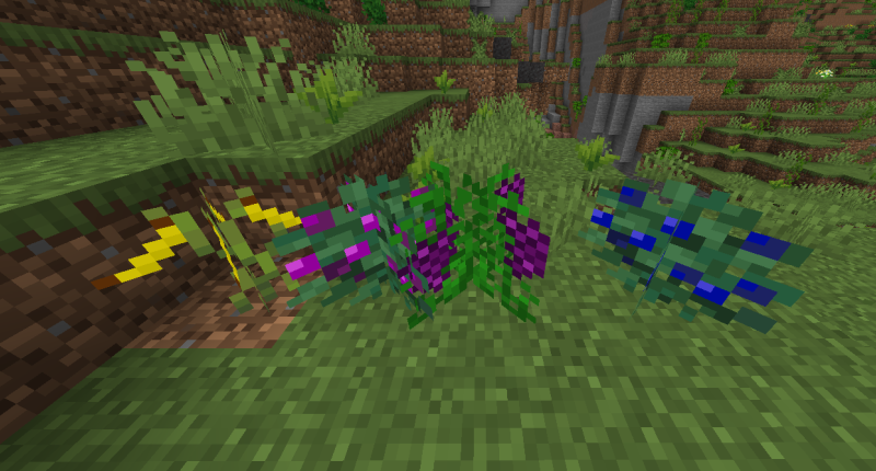 New Fruits!