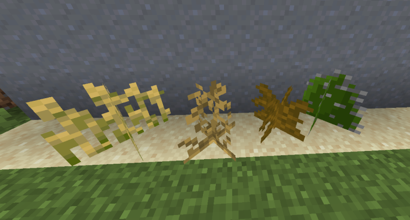 New Desert Grass Variants!