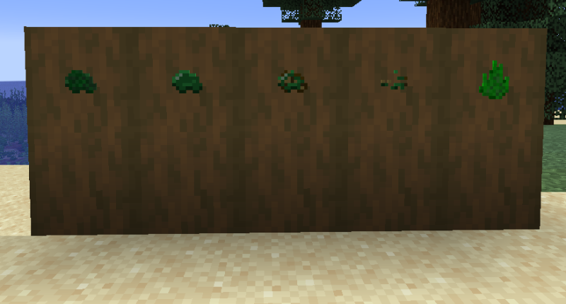 Different Items The Mod Provides.