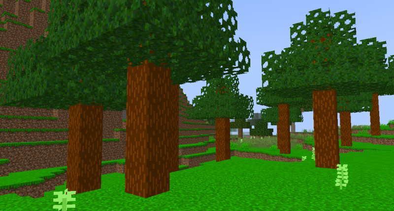 New Cinnamon Forest