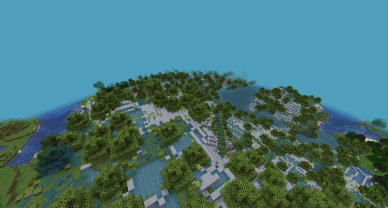 Lush Forest