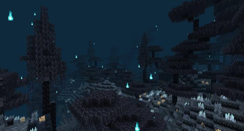 Art Forest