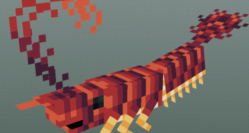 Red Shrimp!
