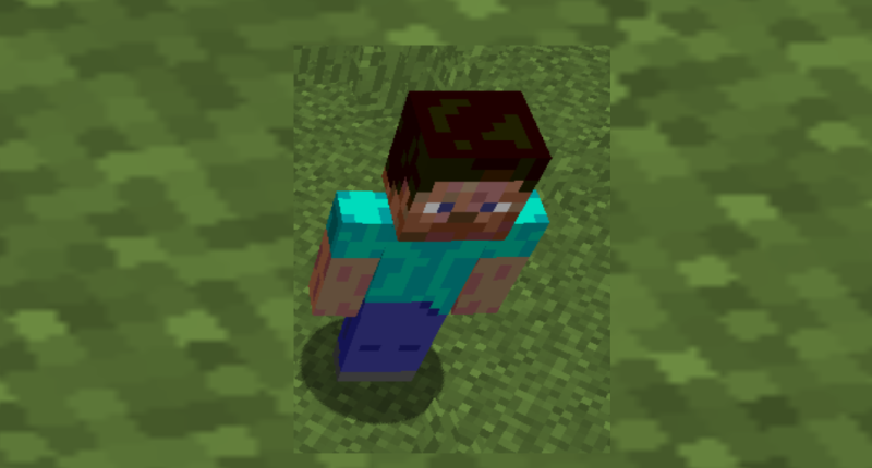 Steve