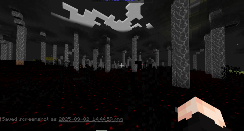Another screenshot from the afflicted lands