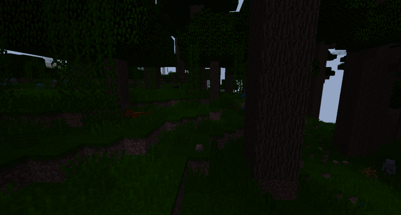 The Rainforest Biome.