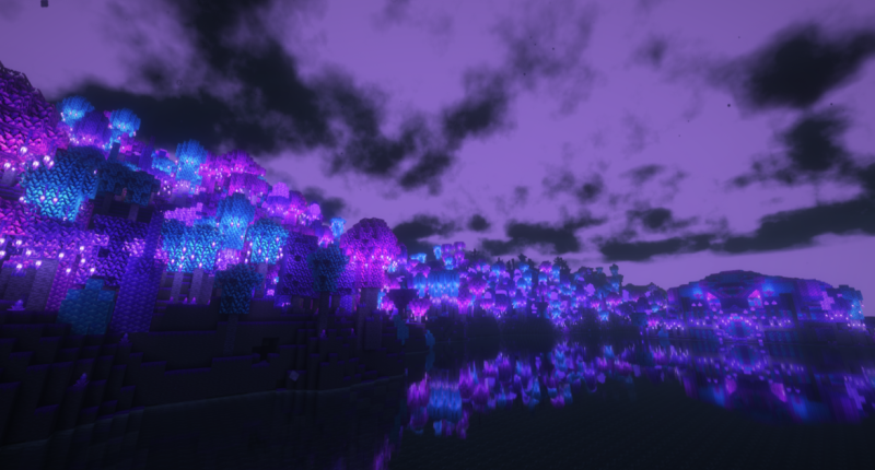 Sacilite Bloom