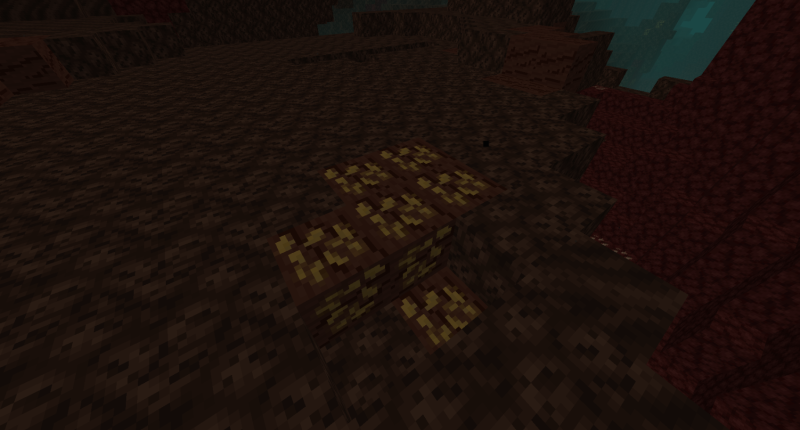 A new rare ore found in the nether!