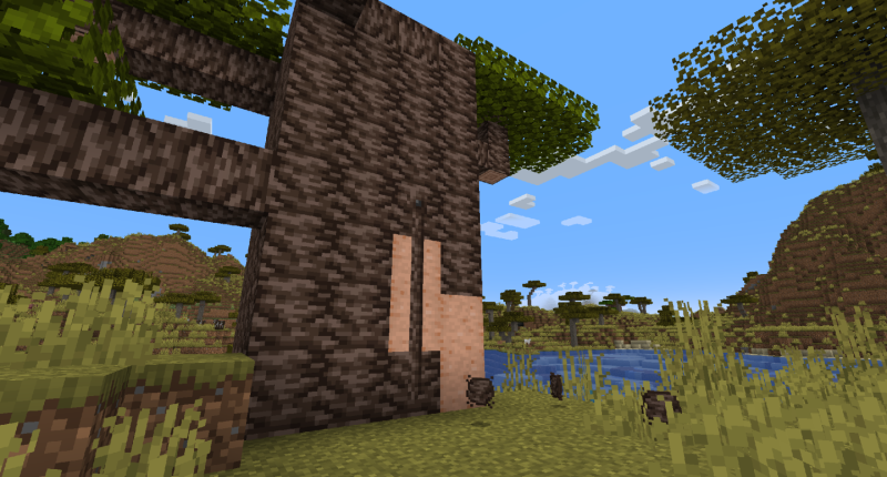 Baobab