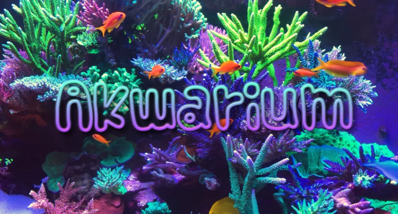 Akwarium