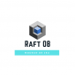 Profile picture for user Raft08