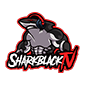 Profile picture for user SharkblackFr