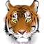 Profile picture for user Tigerize