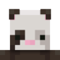 Profile picture for user pandaferrets