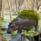 Profile picture for user Hippopotamoss