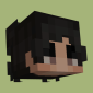 Profile picture for user HVDES