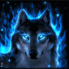 Profile picture for user danil_55723