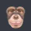 Profile picture for user liarbag