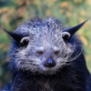 Profile picture for user sava6547