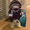 Profile picture for user proman06.