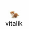 Profile picture for user playvital
