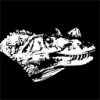 Profile picture for user deemosor