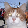 Profile picture for user torresweon