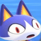 Profile picture for user SurroundedbyCats