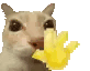 Profile picture for user Fl1