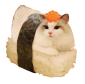 Profile picture for user Dreggnaught