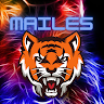 Profile picture for user mailes