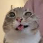 Profile picture for user sfonchik