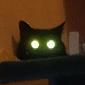 Profile picture for user BlackCat64