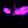 Profile picture for user thegodnetheneverelse