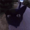 Profile picture for user unipm