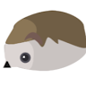Profile picture for user BulatIo
