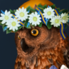 Profile picture for user andrew_rtd